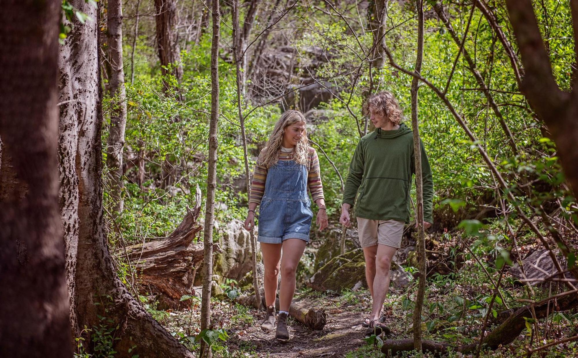 Lena Cabin Wooded Tiny Cabin - Hot Tub Chattanooga Exteriér fotografie
